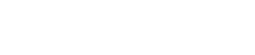 SINAPSIS